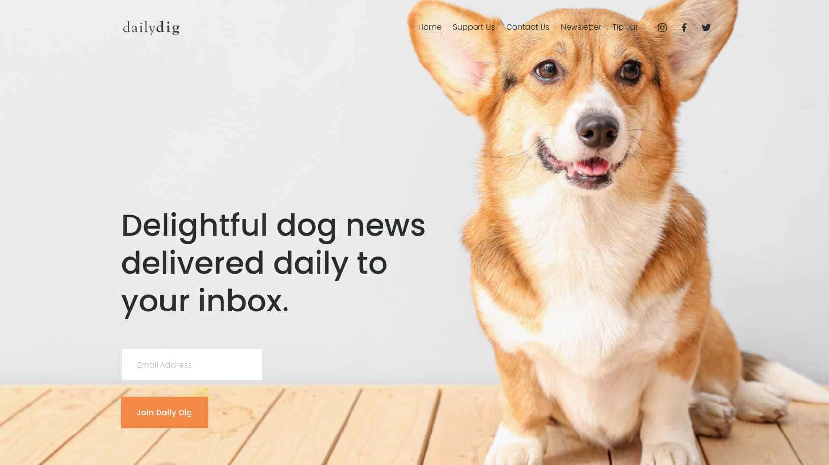 The Daily Dig, a Lifestyle newsletter